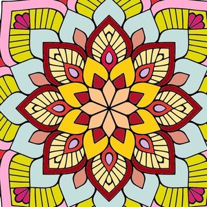 Meet your Posher, Humayra b